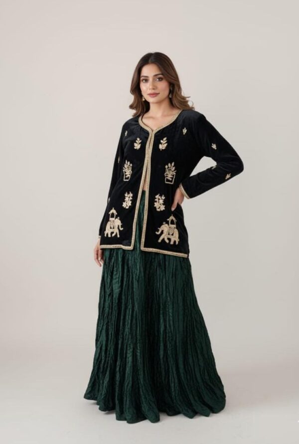 luxurious Velvet fabric